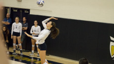 Volleyball_LaurenShelburne_WEB5